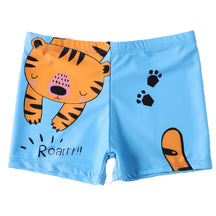 Jurassic Splash: Boys' Dinosaur Swim Shorts" - Miscellaneous Accessories