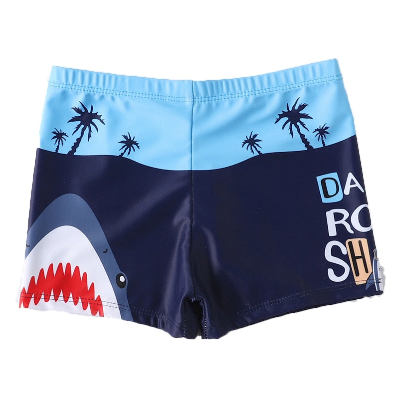 Jurassic Splash: Boys' Dinosaur Swim Shorts" - Miscellaneous Accessories